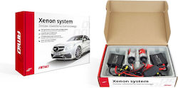 AMiO Xenon Σετ Φωτισμού Αυτοκινήτου D2R 35W 9-16V 6000K Ψυχρό Λευκό