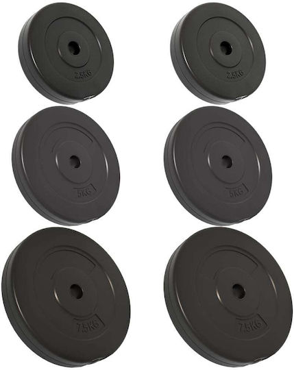 vidaXL Set of Plates Rubber 6pcs Total Weight 30kg Φ25mm