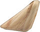 Tessera Disposable Plate 26x26cm 25pcs