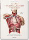 Atlas of Human Anatomy and Surgery