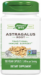 Nature's Way Rădăcină De Astragalus 470mg 100 Capsule Nature's Way Rădăcină De Astragalus 470mg 100 Capsule