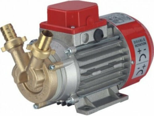 Rover Pompe Marina Transferpumpe mit Leistung 1hp 24V