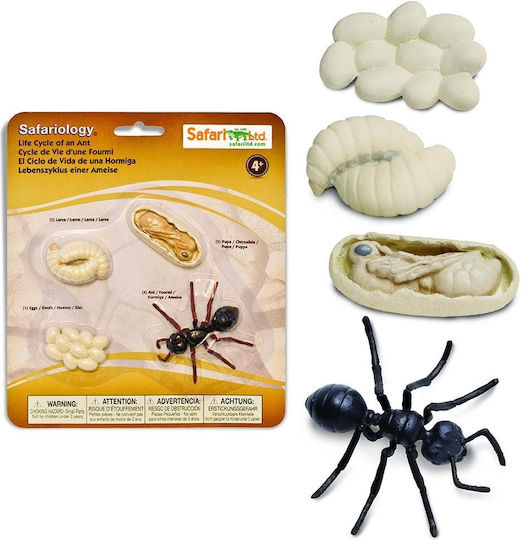 Safari Ltd Κύκλος Ζωής του Μυρμηγκιού Образователна Игра Образователни за 4+ години Години