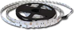 Giako LED Strip 12V with Warm White Light 1m Giako LED Strip 12V with Warm White Light 1m