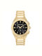 Trussardi Herrenuhr 44mm Chronograph Batterie mit Gold Rostfreien Stahlarmband
