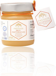 O Melissas Μέλι Πορτοκαλιάς 260gr