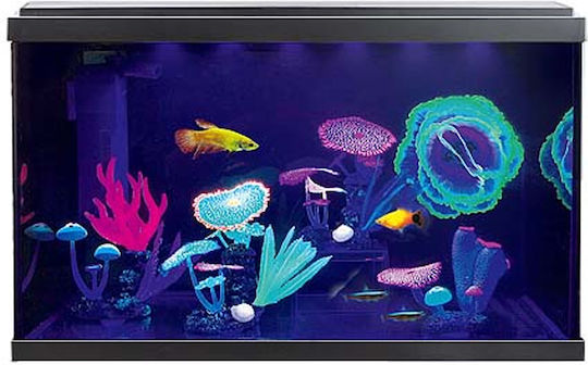 Resun Palace Glow Fish Aquarium Capacity 56.7lt with Lighting, Filter and 59.3x30.8x36.6cm Black