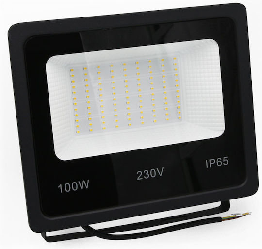 Adeleq Στεγανός Προβολέας LED 100W Ψυχρό Λευκό 6200K IP65