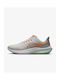 Air Zoom Pegasus 39 Premium Sport Shoes Running Photon Dust / Total Orange / Light Iron Ore / Mint Foam