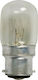 Night Light Bulb for Socket B22
