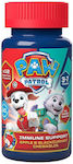 Health Fuel Paw Patrol Immune Support Vitamin for Immune System Boost Apple Blackcurrant 60 chewable tabs