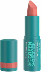 Maybelline Green Edition 013 Shell 10gr