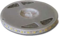 Giako LED Strip 12V with Cold White Light 1m Giako LED Strip 12V with Cold White Light 1m