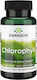 Swanson Chlorophyll 104mg 90 κάψουλες