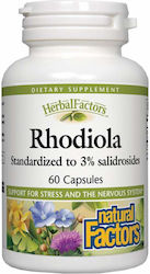 Natural Factors Rhodiola 150mg 60 κάψουλες