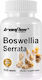 Ironflex Nutrition Boswellia Serrata 100 tabs