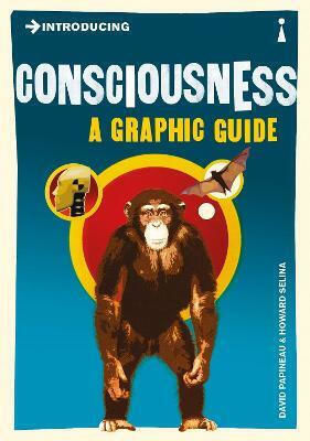 Introducing Consciousness, Ein grafischer Leitfaden
