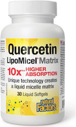 Natural Factors Quercetin LipoMicel Matrix 250mg 30 μαλακές κάψουλες Natural Natural Factors Quercetin LipoMicel Matrix 250mg 30 μαλακές κάψουλες Natural