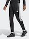 Adidas Tiro 23 Club Herren-Sweatpants Schwarz