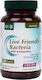 Holland & Barrett Live Friendly Bacteria Хранителна добавка с пробиотици 120 капсули