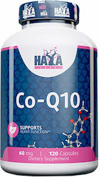 Haya Labs Co-Q10 60mg 120 capsule veget