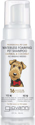Giovanni Wasserfreies Hundeshampoo 236ml Giovanni Wasserfreies Hundeshampoo 236ml
