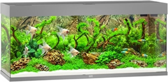 Juwel Rio 240 Ενυδρείο Ψαριών Χωρητικότητας 240lt με Φωτισμό, Θερμαντήρα, Κυκλοφορητή, Φίλτρο 121x41x55εκ. Γκρι