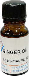 Essential Oil 10ml - Ginger