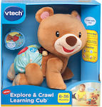 Vtech Animal Crawling Teddy Bear made of Fabric with Sounds for 6++ Months