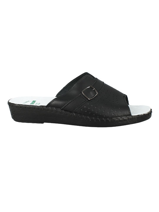 Antrin 30.2350 Women's Slipper In Black Colour