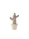 Zen Collection Decorativ Cactus din Ceramică 12.7cm 1buc