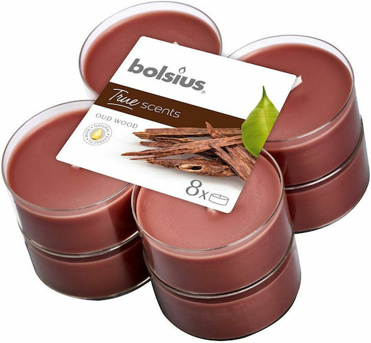 Bolsius Tealights True Scents With Sandalwood Scent In Brown Colour Up To 8 Hours Duration 8 Pieces
