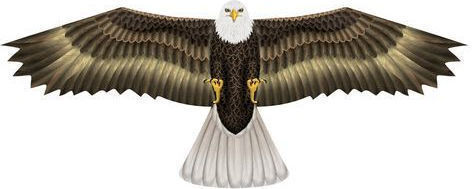 Elliot Kite Ready to Fly Birds of Prey Fabric 50x122cm 1pcs
