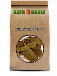 Karpomania Ginkgo Biloba 600gr K- 10181 -a