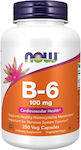 Now Foods B-6 Βιταμίνη 100mg 250 φυτικές κάψουλες