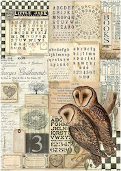Stamperia Alchemy Owls Ριζόχαρτο Decoupage