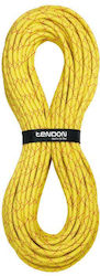 Tendon Canyon Salamander 8-72-020 Static Climbing Rope with Length 60m Yellow