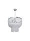 Pakketo PWL-1186 Chandelier with Crystals 4xE27 Silver 40cm 147-000103
