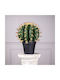 Artificial Plant in Pot Cactus Echinocactus Green 52cm Supergreens