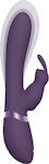 Vive Taka Vibrator Rabbit 21.3cm Purple