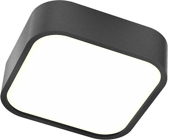 Redo Group Таванно осветление Баня Черен с Вграден LED