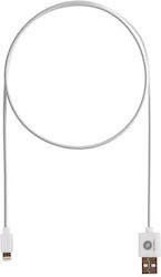 GoGEN USB-A la Lightning 0.9m (LIGHTN100MM01)