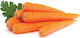 Evotris Samen Karotte Nantes 20gr