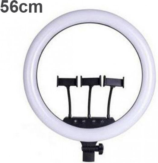 Ring Light 56cm με Βάση για Κινητό