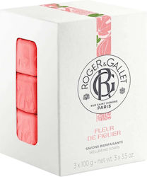 Roger & Gallet Fleur De Figuier 3x100gr