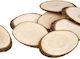Pentart Tree Trunk 12x7.5cm 12pcs