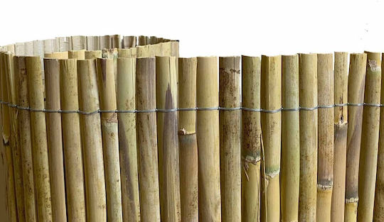 Showood Καλαμωτή με Μισό Καλάμι 2x5m 31361