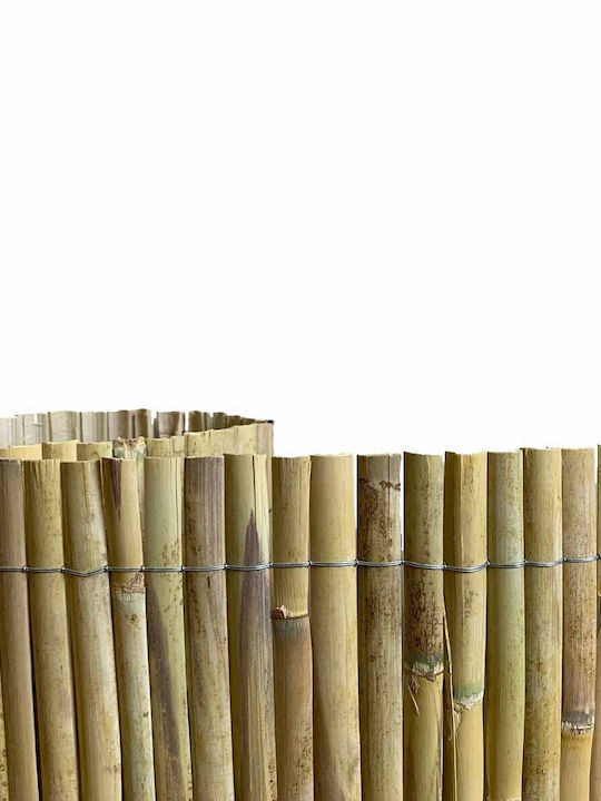 Showood Bambuszaun mit Halbes Schilf 1.5x5m