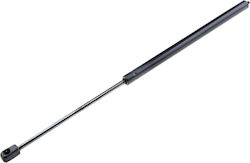 NTY Αμορτισέρ Καπό για Mercedes-Benz C Class W203 2001-2007 NTY Αμορτισέρ Καπό για Mercedes-Benz C Class W203 2001-2007