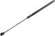 NTY Αμορτισέρ Καπό για Mercedes-Benz C Class W203 2001-2007